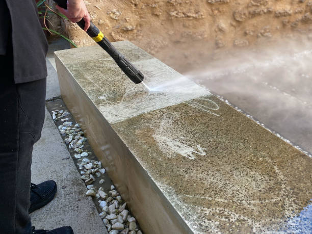 Best Affordable Pressure Washing  in Royal Palm Beach, FL