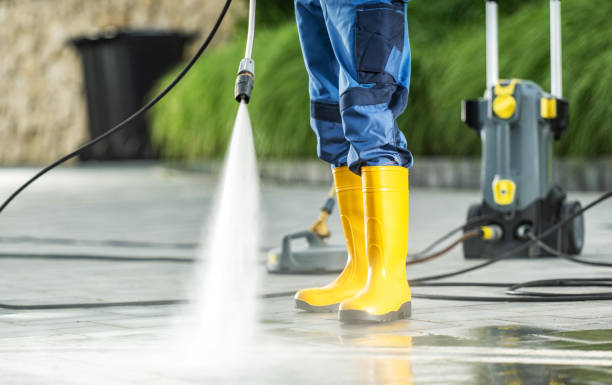Best Roof Power Washing Services  in Royal Palm Beach, FL