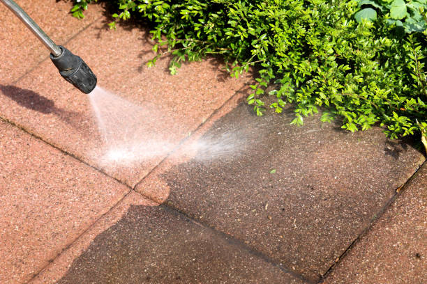 Why Choose Our Certified Pressure Washing Experts for Your Project Needs in Royal Palm Beach, FL?