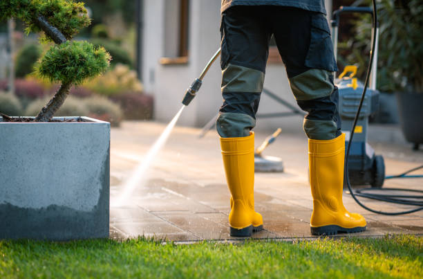 Best Pressure Washing Company Near Me  in Royal Palm Beach, FL